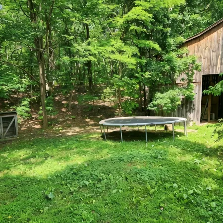 Busse's Roost Cozy Mountain Home