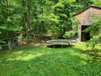 Busse's Roost Cozy Mountain Home - Wifi