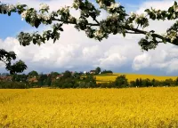 Comfortable apartment high above Dresden at the top of the Elbe valley - Homestays