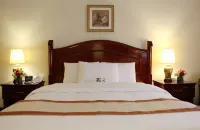 Al Diar Mina Hotel - 2 étoiles