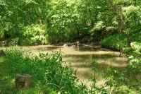 Bearadise Cabin on 300+ ft of Brasstown Creek: Near John C. Campbell Folk School - Chalets