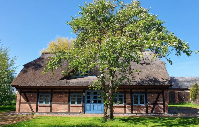 Thatched roof fisherman's house - Vorpommersche Boddenlandschaft National Park - Baltic Sea