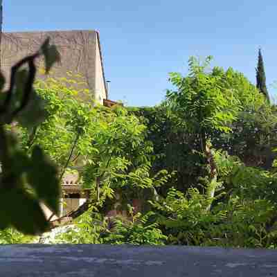 Les Roues de L'Isle - CHARMING APARTMENT Hotel Exterior