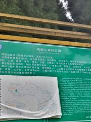 Jiguan Shan Senlin Gongyuan-Fengxi Mountain National Forest Park