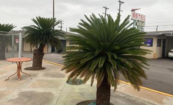 El Tejas Motel