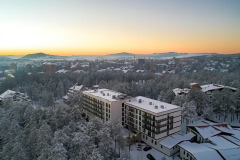 Hotel Palisad