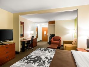 Sleep Inn & Suites Near Fort Gregg-Adams