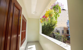 Green Hotel Quy Nhon - Hostel