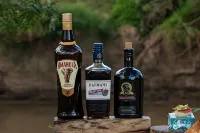 Olengoti Eco Safari Camp