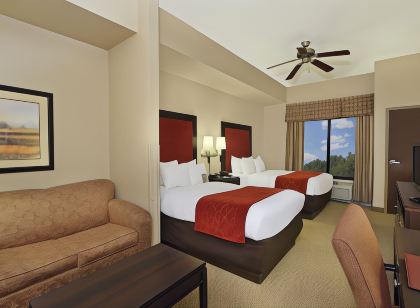 Comfort Suites DFW N/Grapevine