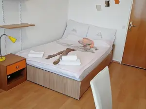 Arena stožice Rooms