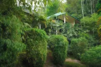 The Hive Wayanad by Kondody Hotels Hotel di Kalpetta