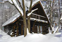 White Tree Lodge Madarao Tangram