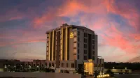 AlRayah Hotel Hotels in 