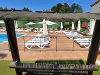 Apartamentos Marsil