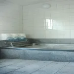 Shineikan Hotel di Mihama
