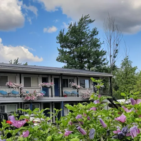 Blue Moon Motel