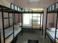 Gibbon Backpackers Hostel - Hostels
