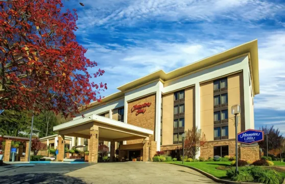 希爾頓歡朋酒店-惠靈