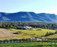 Grapevines Boutique Accommodation Hotels in Pokolbin