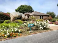 Casa Di Fiori