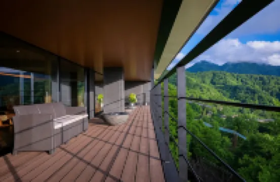 東館傳統日式旅館