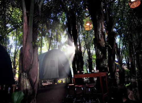 Tegal Dukuh Camp - Camping