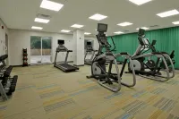 Holiday Inn Express & Suites COLUMBUS NORTH by IHG - Gym