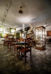 Atelier Kandy - Boutique Art Hotel & Gallery