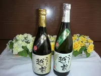 Minshuku New Echizen