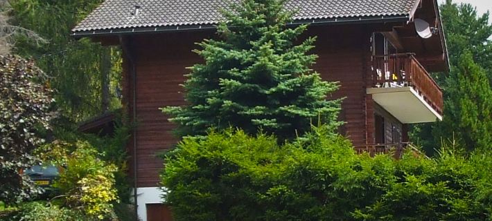 L'Alpage Hotels in Leytron