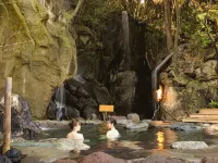 Hotel Heritage - avec sources thermales