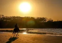 Family-Friendly 3Br Condo, Poolside, Walk to Beach