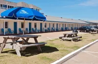 Dolphin Oceanfront Motel - Nags Head
