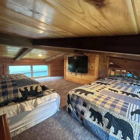 Cozy 1 BR cabin 100 feet from the Linville River near Newland, NC. EV charger