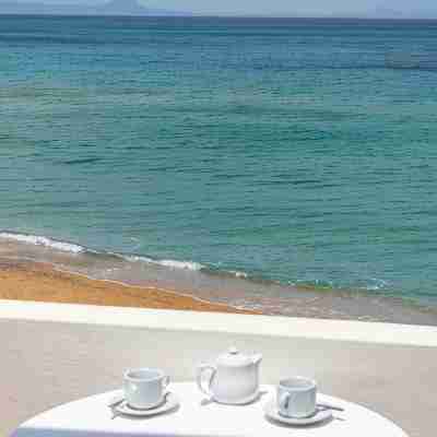 Alkionis Beach Others