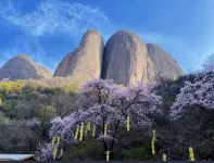 Mehood Theater Hotel (Ningyuan Avenue, Wushan County, Tianshui) - Mountain view