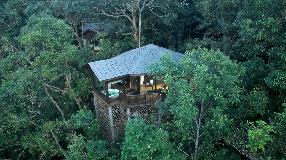 Red Panda Manor Pu’re