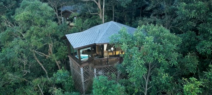 Red Panda Manor Pu’re Hotels in Pu'er