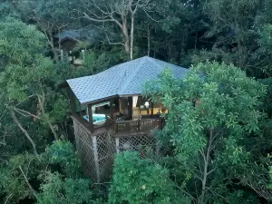 Red Panda Manor Pu’re