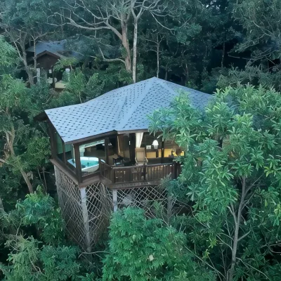 Red Panda Manor Pu’re Hotels near Rhino Land of The Pu'Er National Park