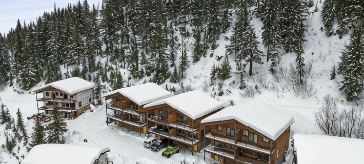 愛達荷州施韋策愜意四臥室滑雪公寓 邦納縣住宿飯店