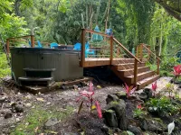 Banyan Bungalow nestled in the jungle -- TA-154-746-2656-01