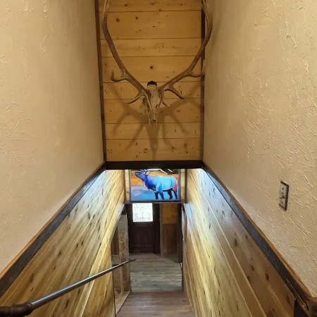 Hidden Cabin in the Woods