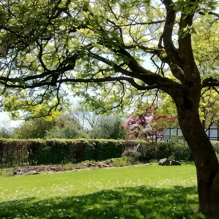 Vacations in a cozy half-timbered house