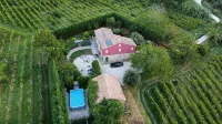 Casa Pietrone apartment in the vineyards, Casa Pietrone - Apartments