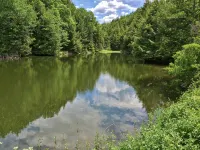 The Catskills Red Barn-near Belleayre - Homestays