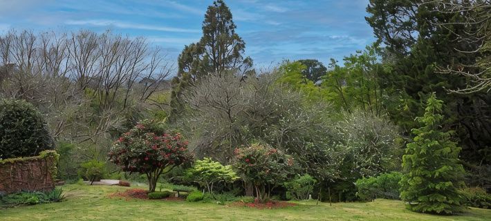 Spacious, quiet, private loft studio 7 minutes walk to Exeter village centre Hotels in Bowral