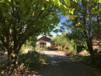 Chris's Cabin | Private Garden, Large Deck | Sleeps 8 in Greytown - 무료 와이파이