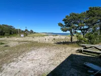 Driftwood Cottage just Steps to the Sandy Popham Beach!